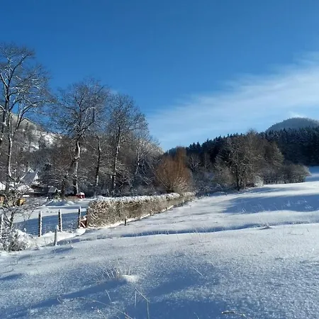 Osrodek Wypoczynkowy Radosno Resort