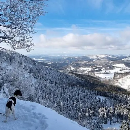 Radosno Sokolowsko