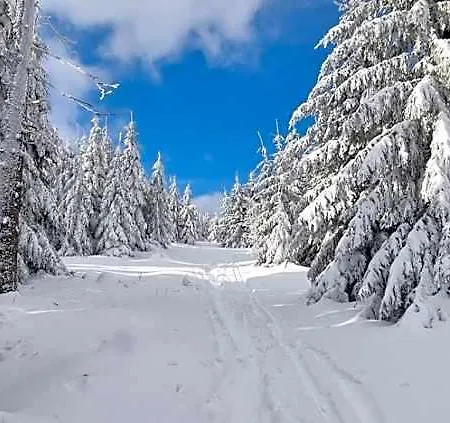 Osrodek Wypoczynkowy Radosno Resort