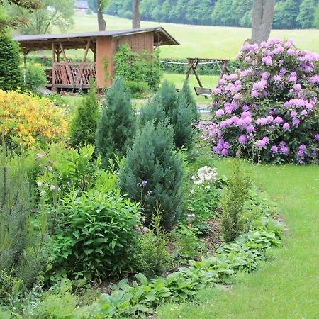 Radosno * Sokolowsko