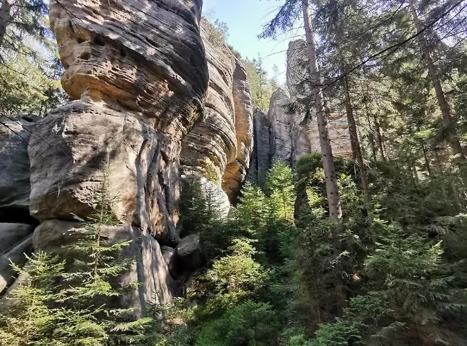 Resort Osrodek Wypoczynkowy Radosno Sokolowsko
