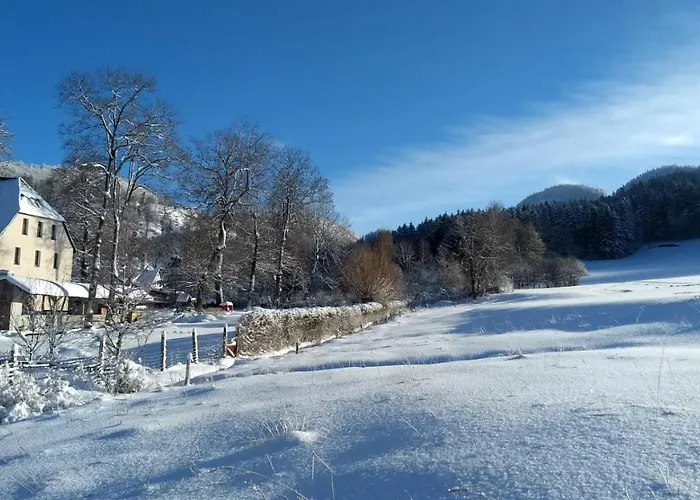 Osrodek Wypoczynkowy Radosno Resort