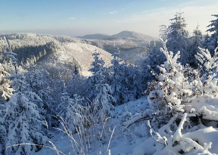 Resort Osrodek Wypoczynkowy Radosno
