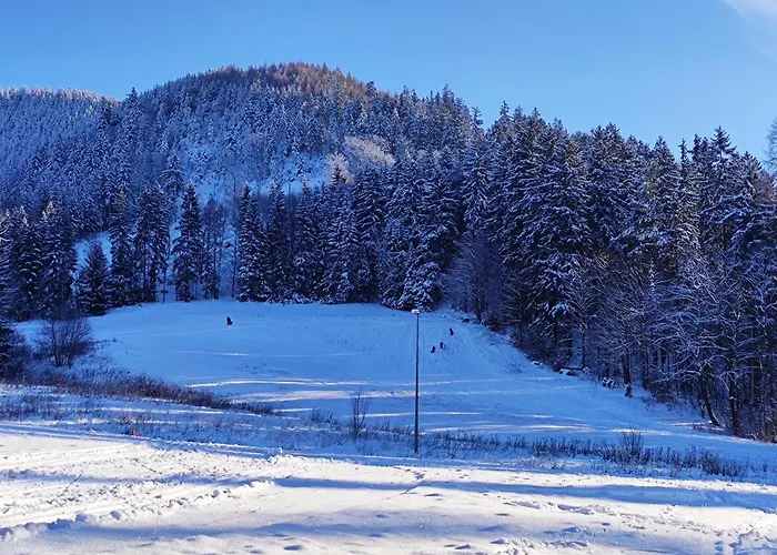 Osrodek Wypoczynkowy Radosno * Sokolowsko