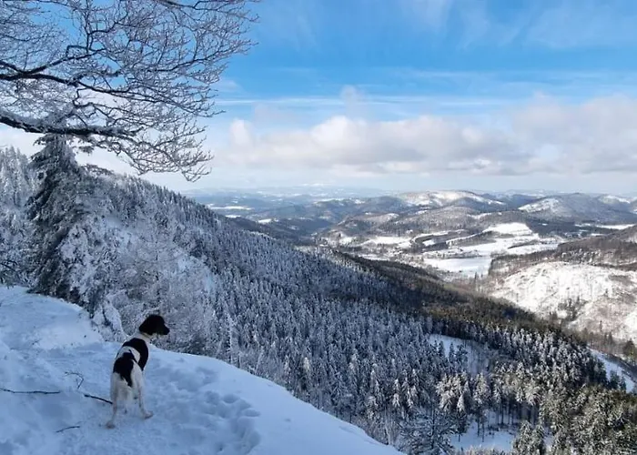 Osrodek Wypoczynkowy Radosno Sokolowsko
