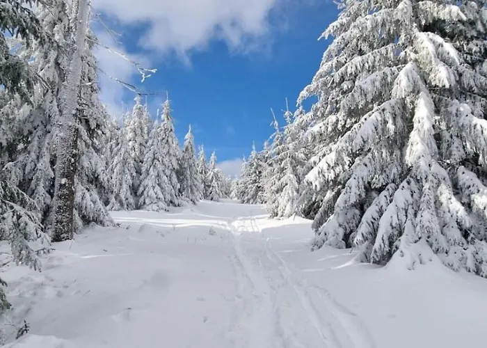 Osrodek Wypoczynkowy Radosno