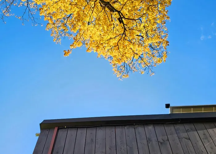 Osrodek Wypoczynkowy Radosno * Sokolowsko